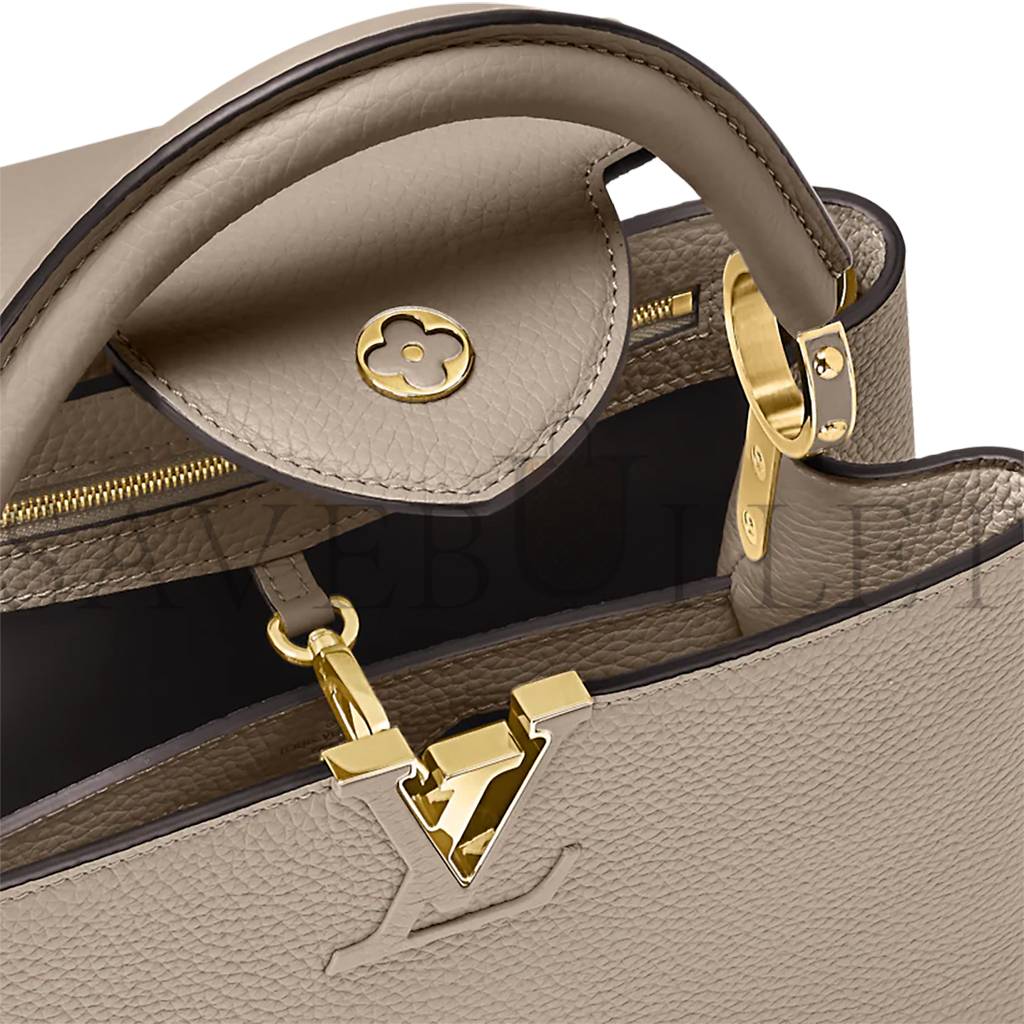 LOUIS VUITTON CAPUCINES  M42253 (31*21*11cm)